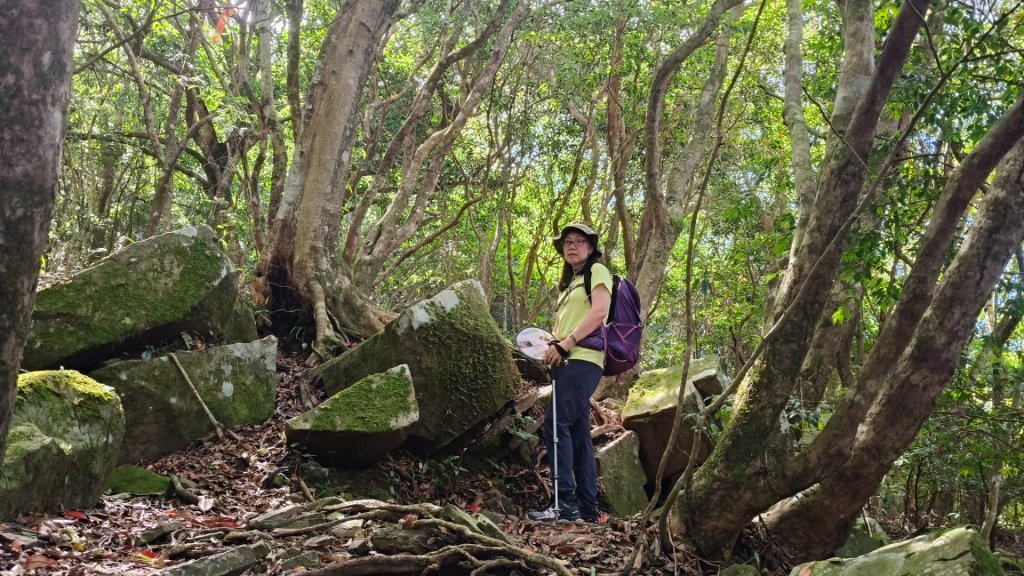 大混李棟山_2816337