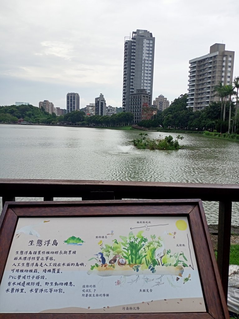 內湖碧湖公園、內湖國小、大港墘公園、文德三號公園、瑞陽公園【健康大穀東、走路趣尋寶】_2240527