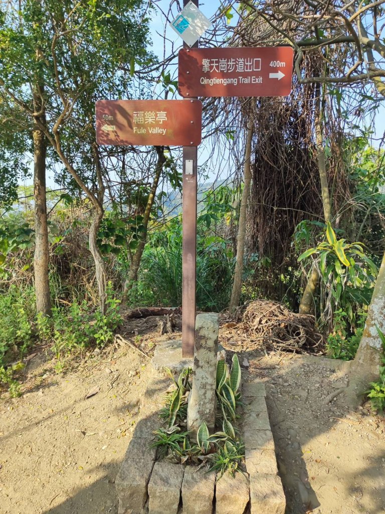 橫山步道-十八彎古道-中央嶺步道_2718083