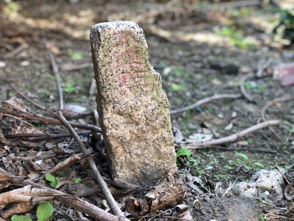 台南市東區巴克禮公園、彰化以南唯一小水準點高雄岡山大埔十四號封面圖