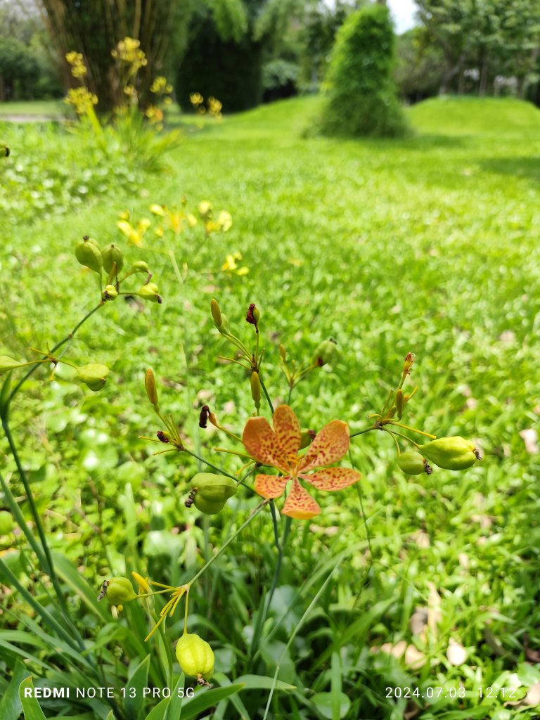 大安森林公園【走路趣尋寶】【臺北健走趣】_2541503