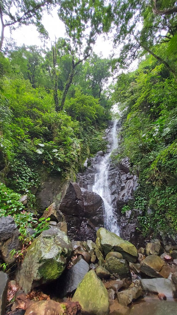 111/07/02陽明山鹿角坑步道、楓林瀑布_1754019