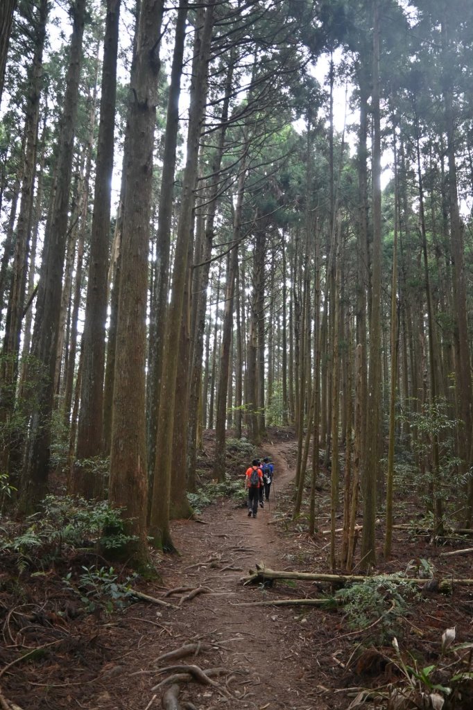 中級山-高島縱走_2888350