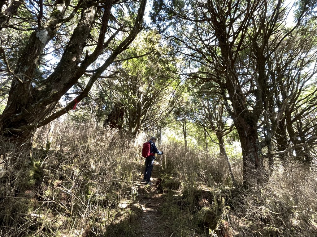 魔幻森林三星山與三星池_1658262