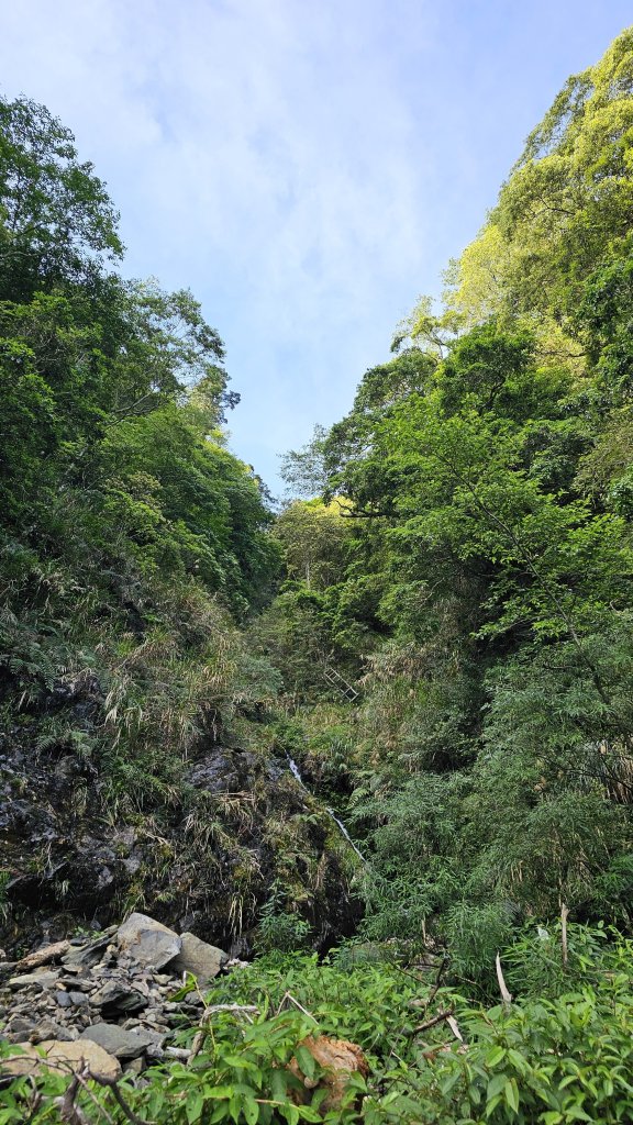 【被遺忘的南橫仙境】中之關、天池步道O繞10K_2798180