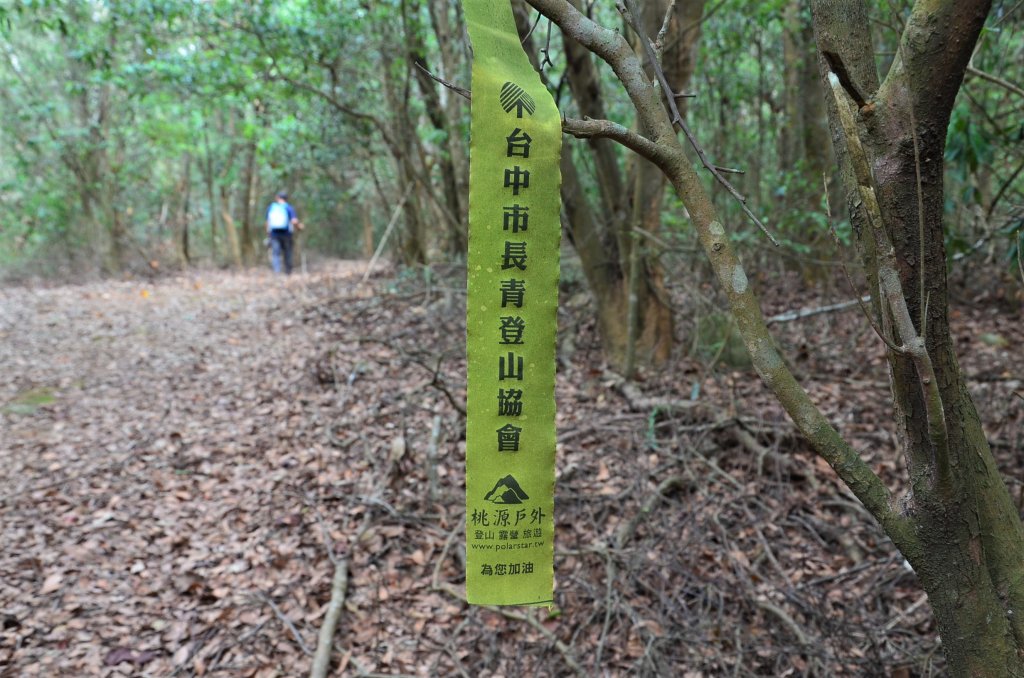 南片山 & 枕頭山_1232440