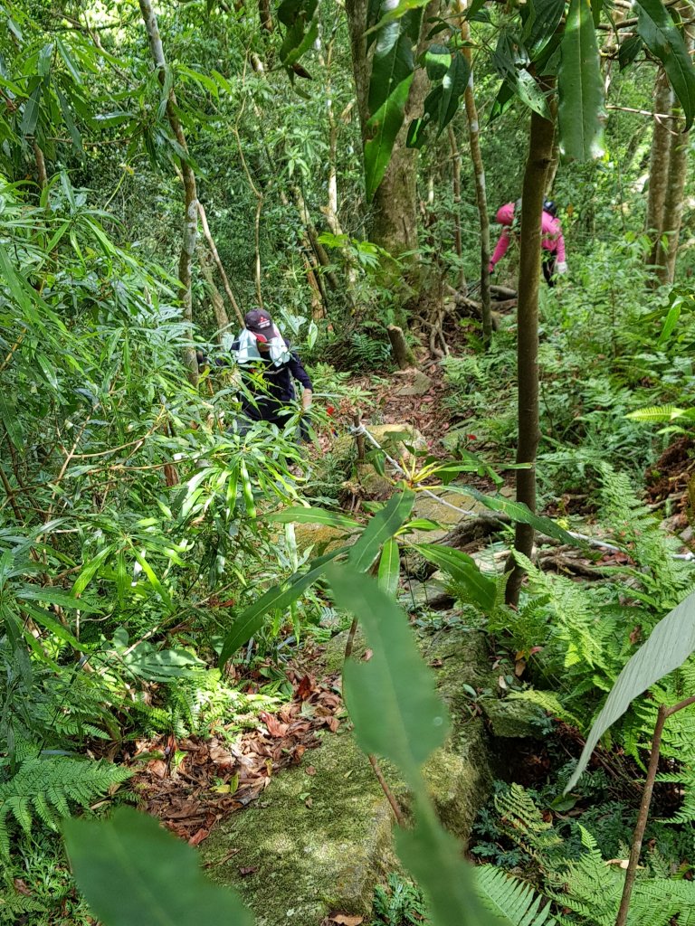 復興三尖之那結山_1423069