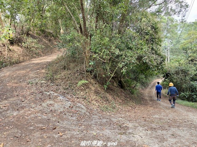 【屏東瑪家】小百岳笠頂山步道_3013112
