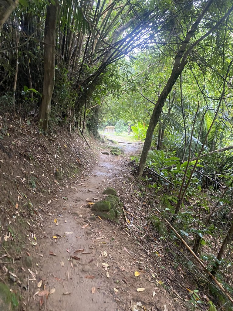 20250705-Ep.03六寮古道-2025森遊竹縣皮皮獅探險隊_2851494