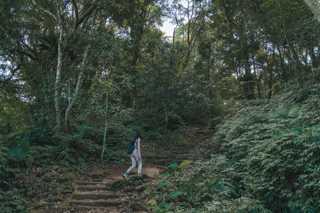 馬那邦山_2387026