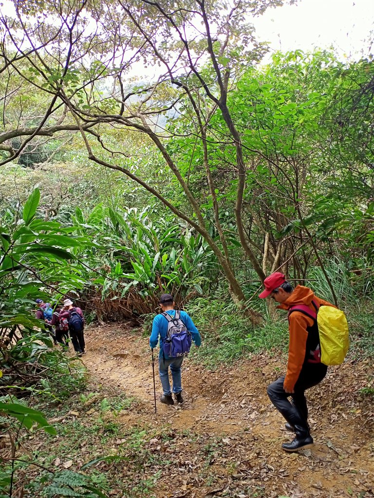 【三湖縱走】內湖大湖公園→康樂山→明舉山→內溝溪生態展示館→汐止內溝山→翠湖→金龍湖_2072493
