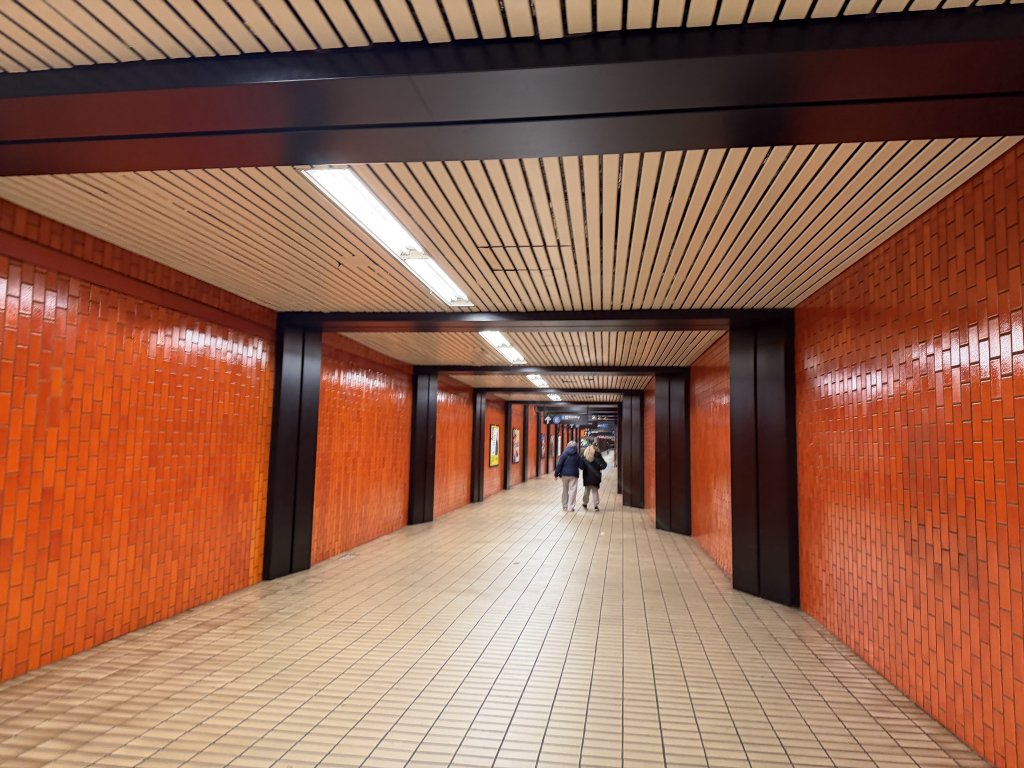 [紐約馬之行-16] 2025_1103 紐約到冰島_2945645