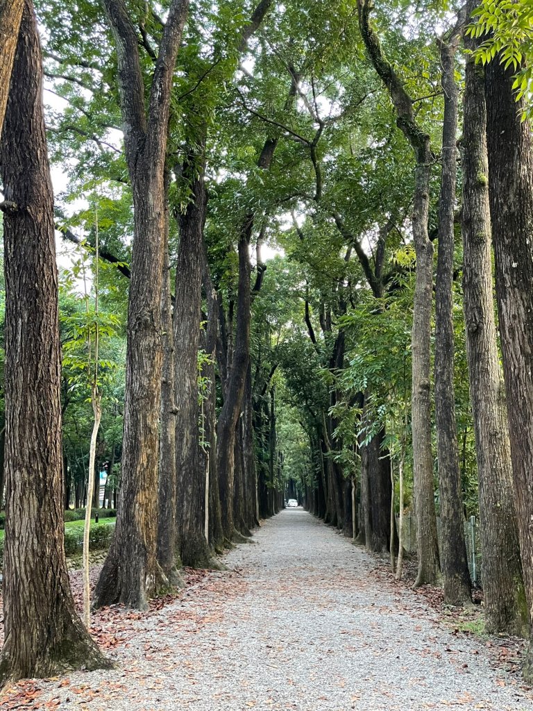 2度強渡關山未竟之藤枝國家森林遊樂區 多納部落 新威森林公園輕鬆走_1880448