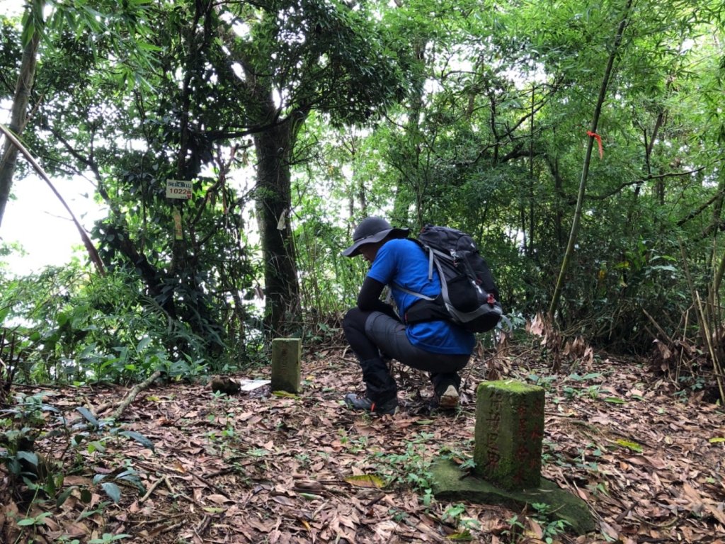 嘉義連峰獨立山大巃頂紅楠坑觀音石阿拔泉_633338