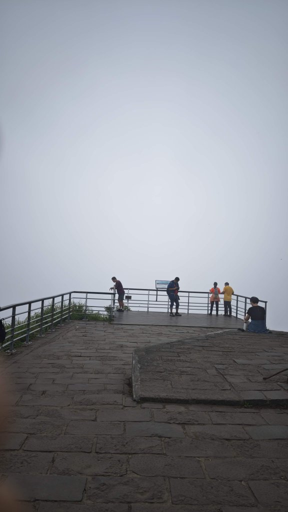 2025-0505 觀音山土路追桐花+牛港稜步道_2781387