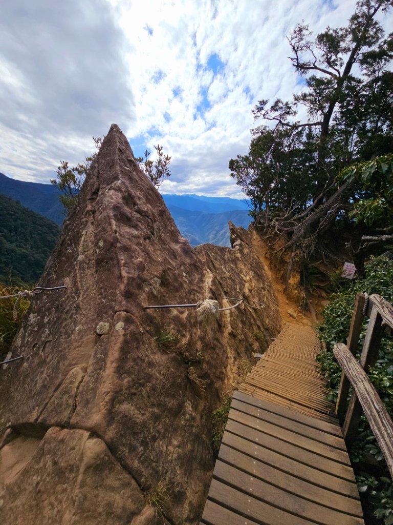 北得拉曼巨木步道-新竹縣尖石鄉_2663494