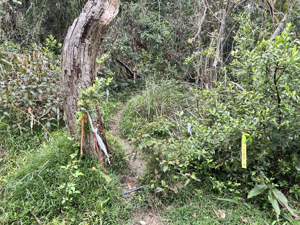 大橫屏山_2721452