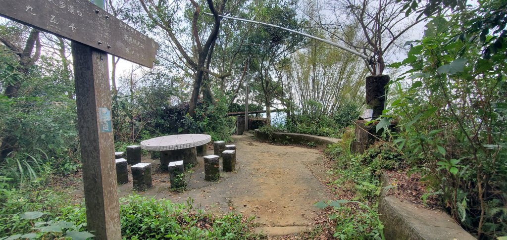 2024-11-23臺北大縱走第六段：中華科技大學至捷運麟光站_2653493