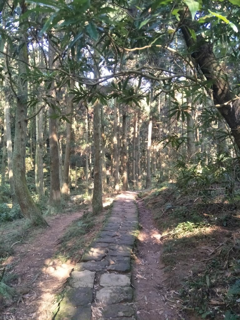 臺北大縱走第三段：小油坑至風櫃口_1677932