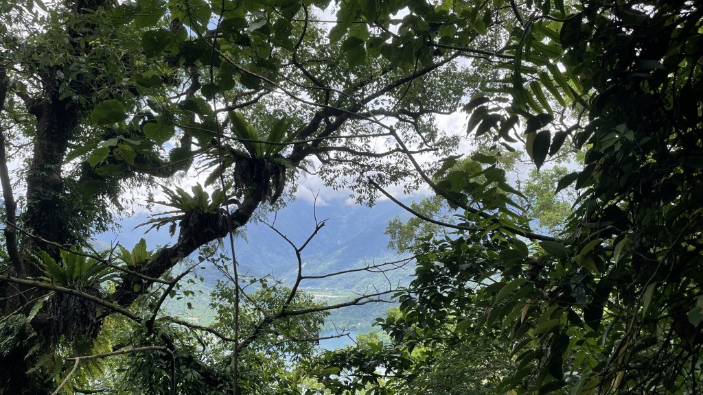 花蓮鯉魚山（小百岳編號：８９）我們包場了_1741262