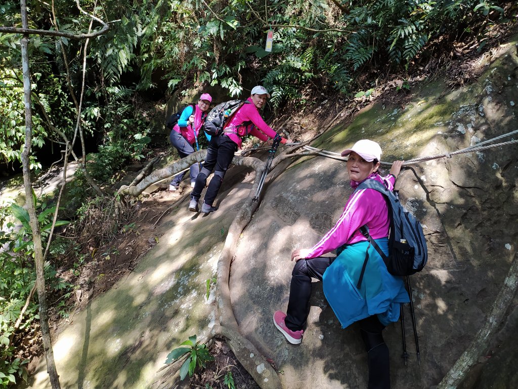 關西 石牛山  充滿樂趣的登山步道_1278363