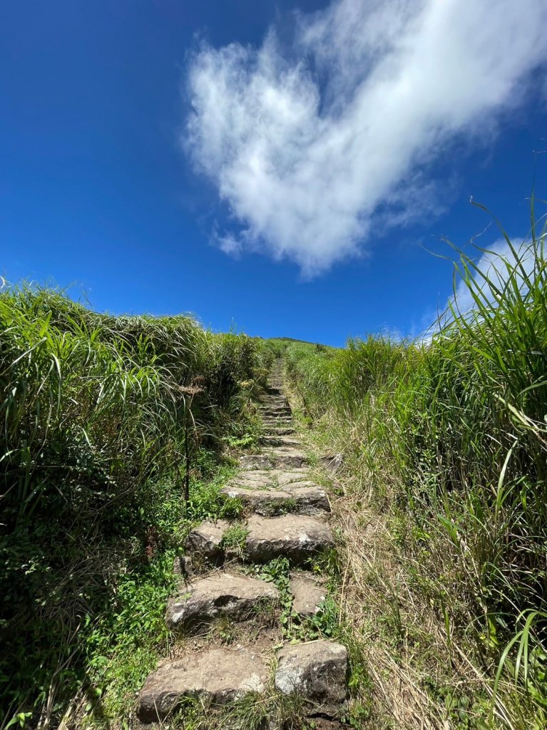 230716-小百岳#001大屯山。美美兔感謝「泰利」外圍環流，許了大屯主峰一個艷陽颱風天，景緻絕美_2222801
