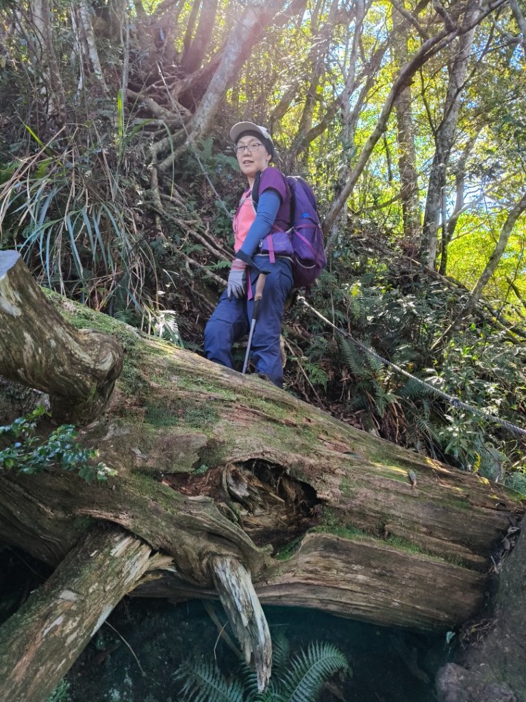 貴妃那結P 型縱走1131012_2621926