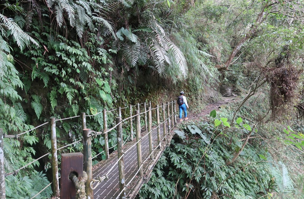 瓦拉米步道_2240404