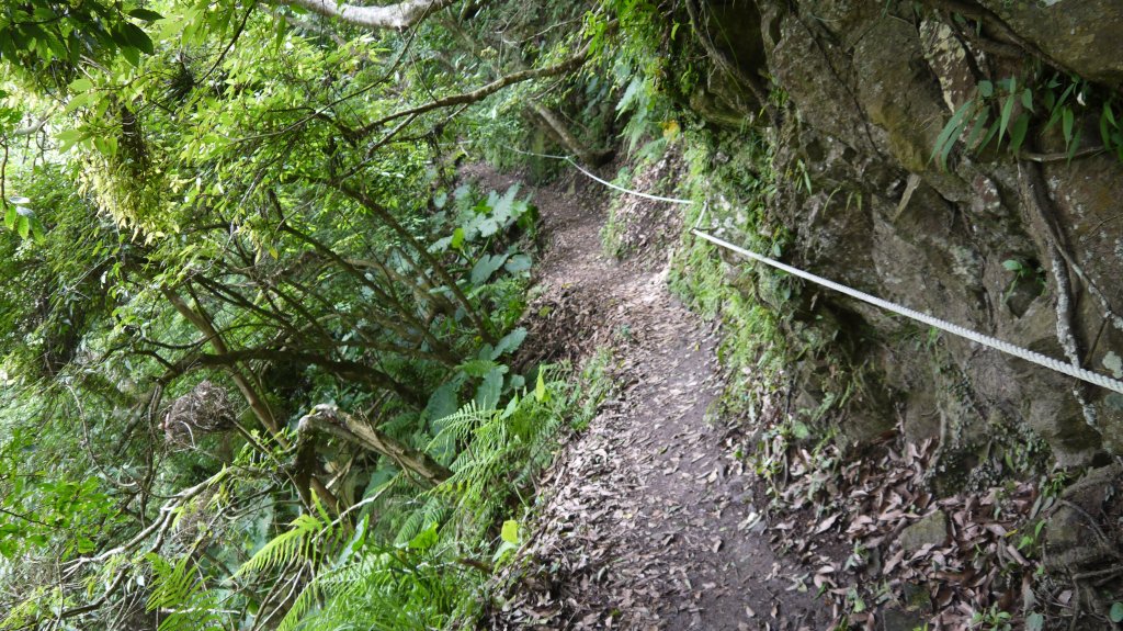 錐麓古道登山健行趣(古道)_1741942