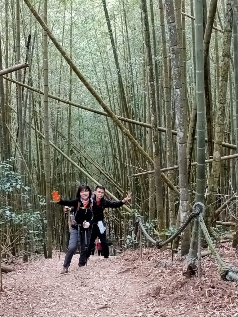 2022年02月13日(彰山協)南投日月潭四兄妹之中級山~大尖山縱走水社大山_1613481