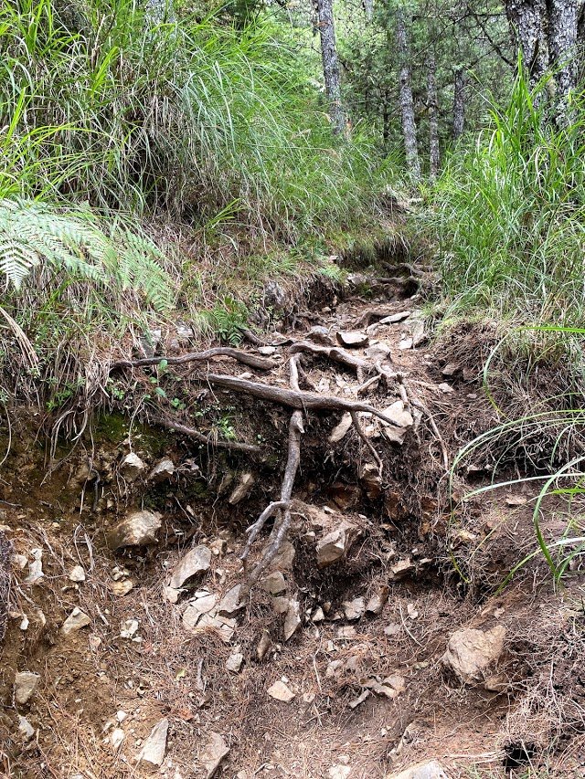 1090815_宸宸桃山瀑布、池有山步道_1104049