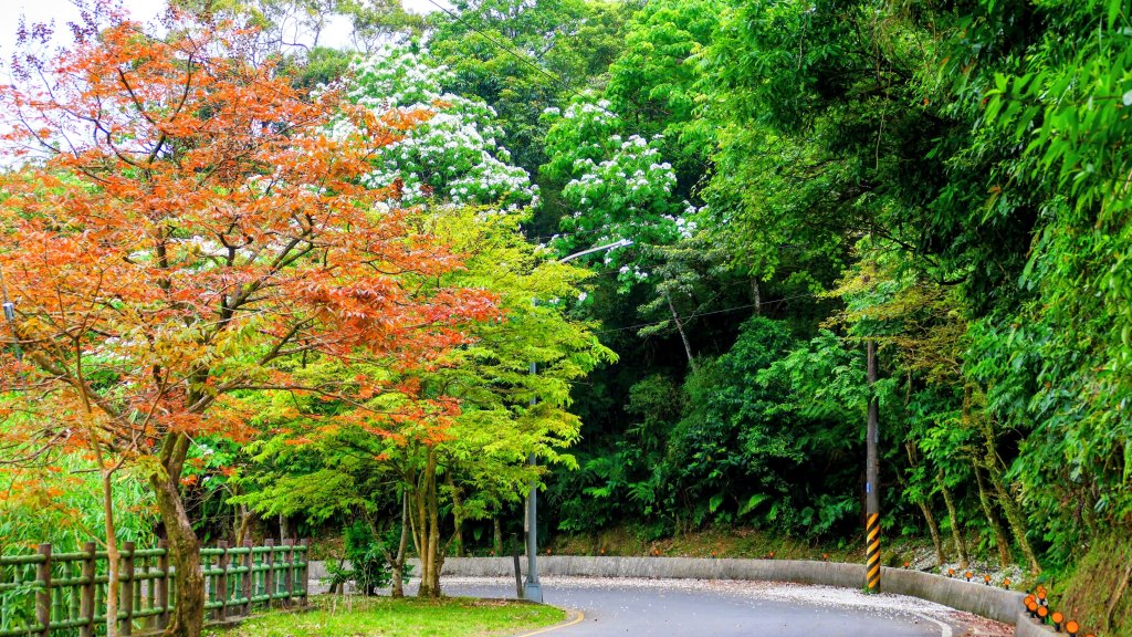 東勢街,汐碇路封面圖