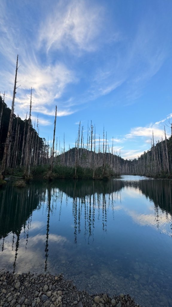 水漾森林+瞑月神木_2768829