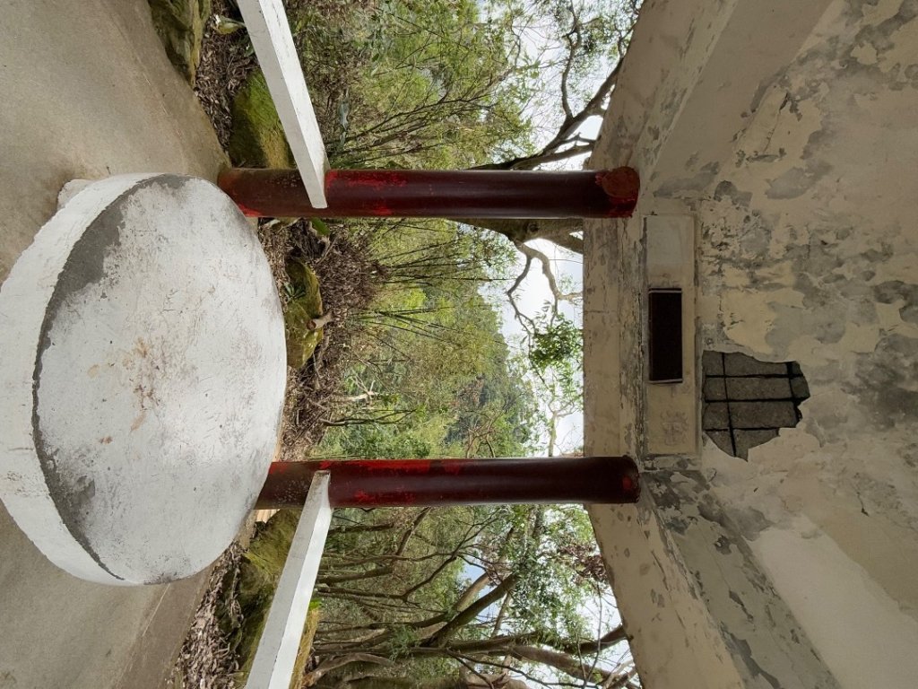 2025元旦 新店獅頭山（小獅山）順遊 高麗坑山，員潭子坑山，待荖坑山，樟湖山，樟山 出政大_2680968