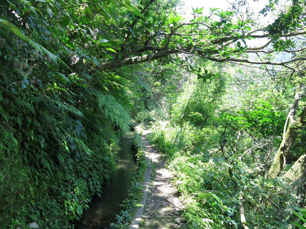 始祖鳥X健行筆記坪頂古圳半日健行活動_50831