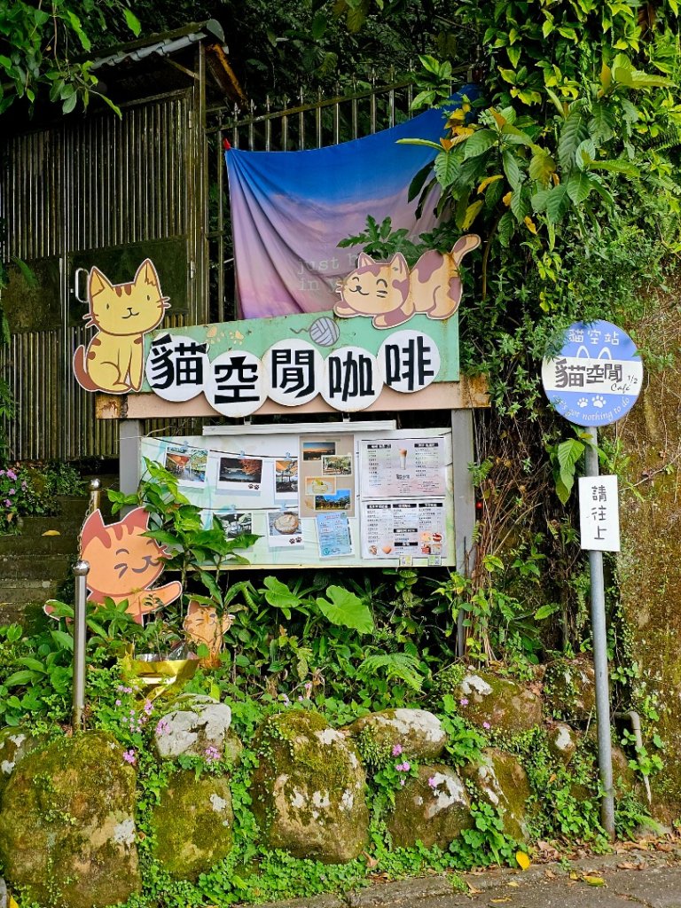 2025年臺北大縱走第七段：世界山莊至飛龍步道政大後山_2757373