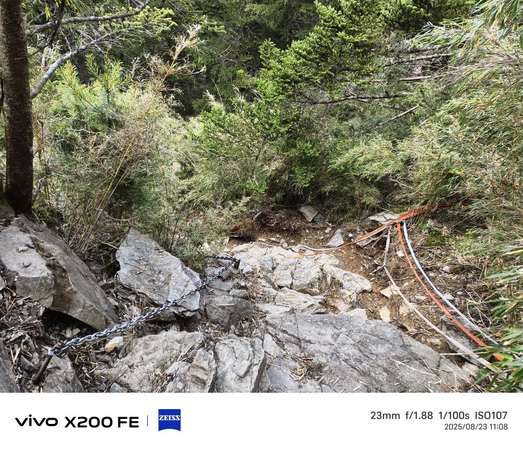 [玉山尋寶任務-04/12] 2025_0823 玉山前峰登山山徑_2869577