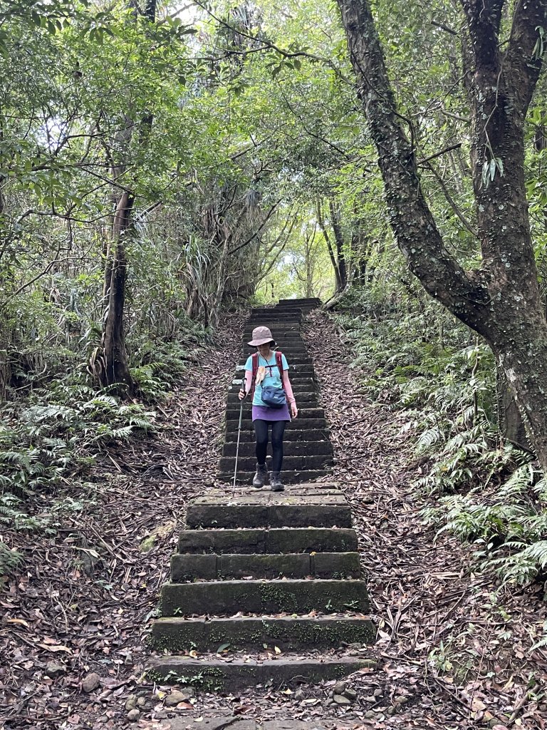 草嶺古道-大溪線-桃源谷-虎字碑-草嶺古道-福隆 20240909_2591657