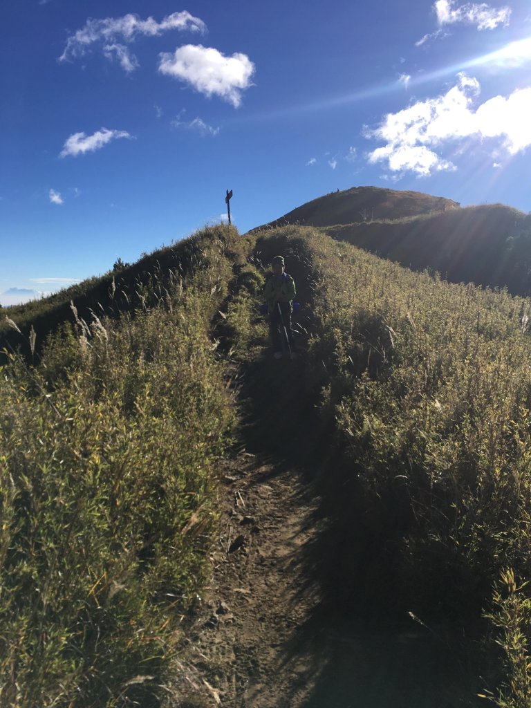 雪山 不下雪_533092