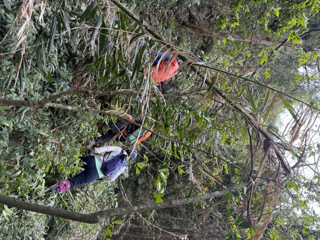 桂山路197巷 》呂奔山北峰 》呂奔山 》阿玉壩_2755805
