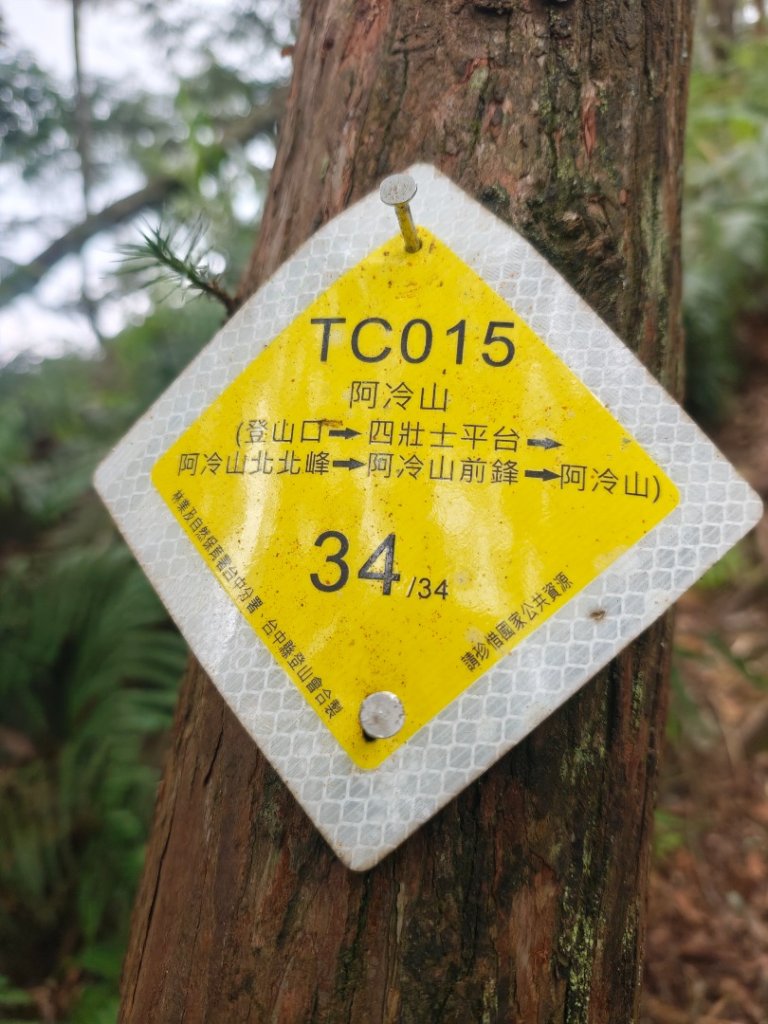 阿冷山 谷關第八雄封面圖