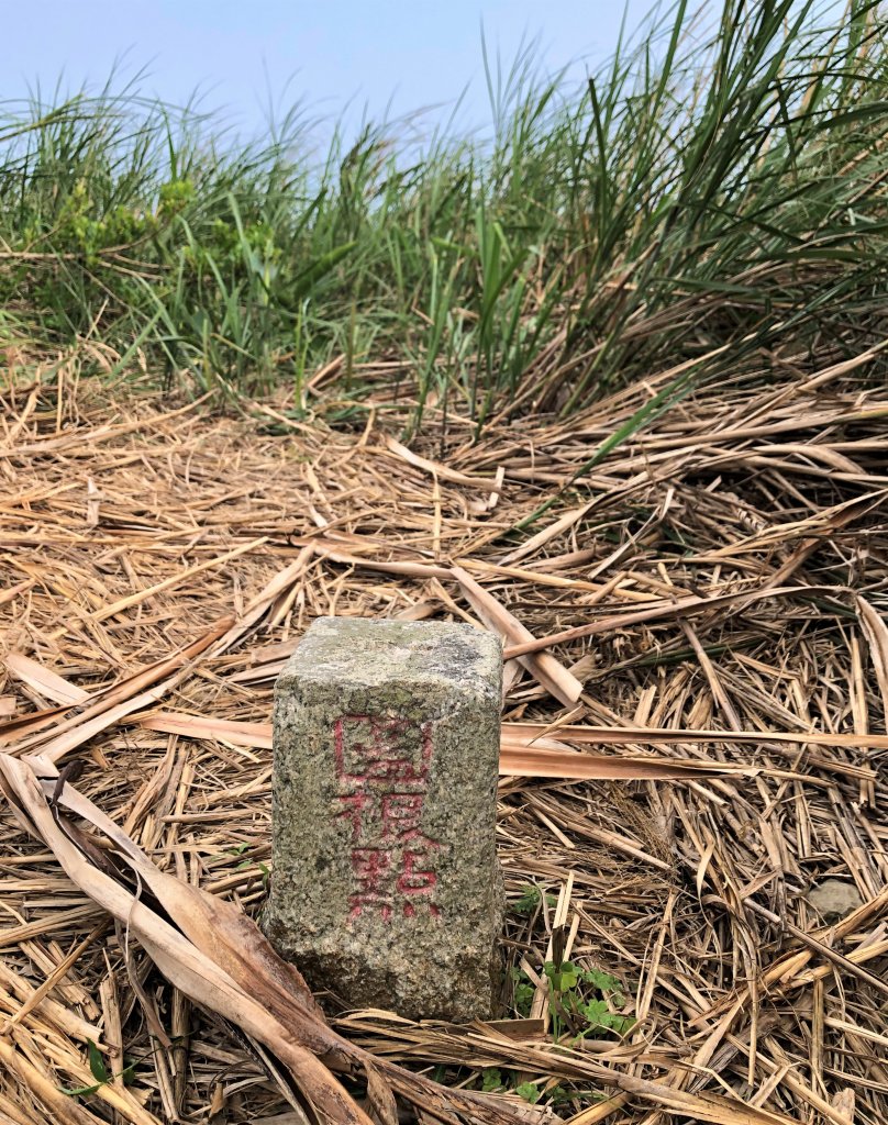 台灣小百岳No.081 大山母山_908300