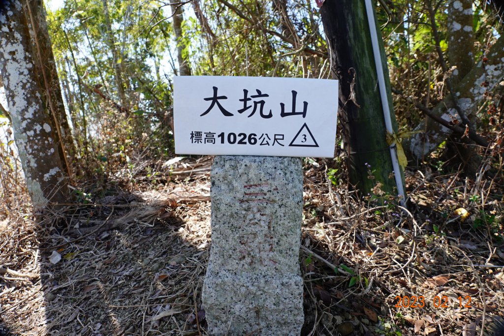 嘉義 竹崎 大坑山封面圖