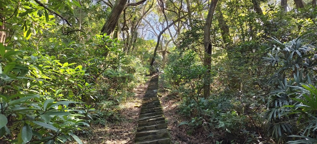 2025/02/15_忠義山+關渡親山步道_2713544