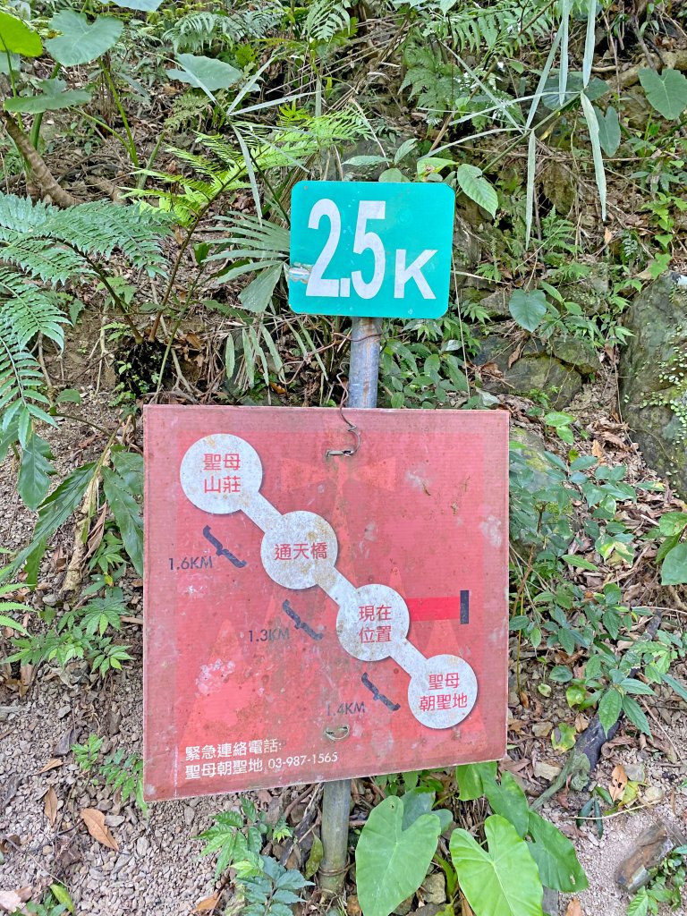 再訪聖母山莊三角崙山--滿山滿谷的人潮 _927629