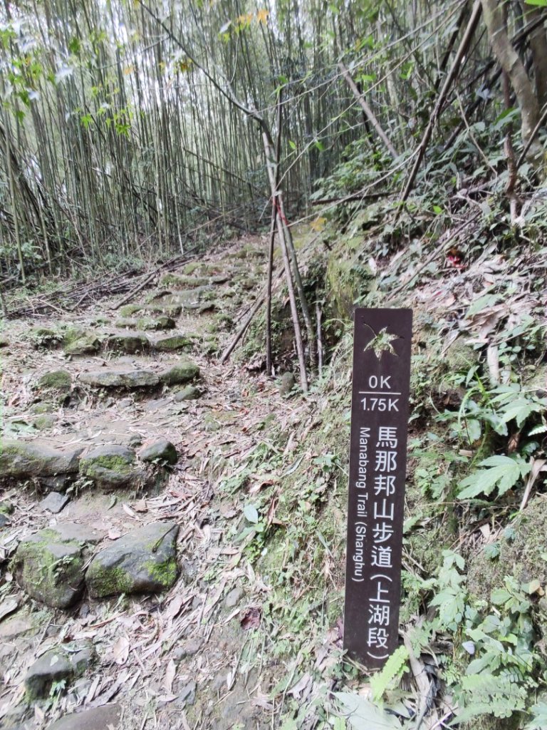 2024/11/9 馬那邦山、細道邦山_2645406