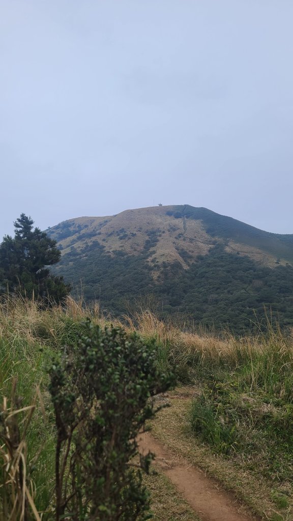 2026-0116 大屯三山_貴子坑_北投_2984723