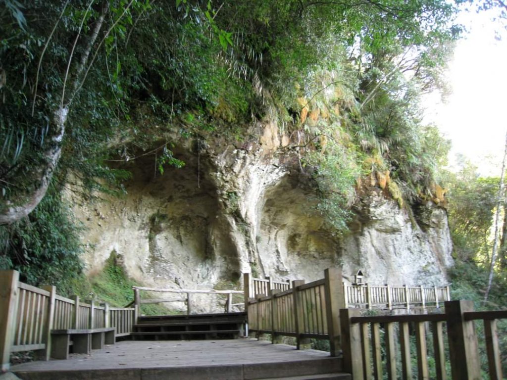 小百岳NO.48 彰化橫山。八卦山  猴探井 溪州公園，溪頭，杉林溪，大崙山銀杏茶園 中寮龍鳳瀑布_2268036