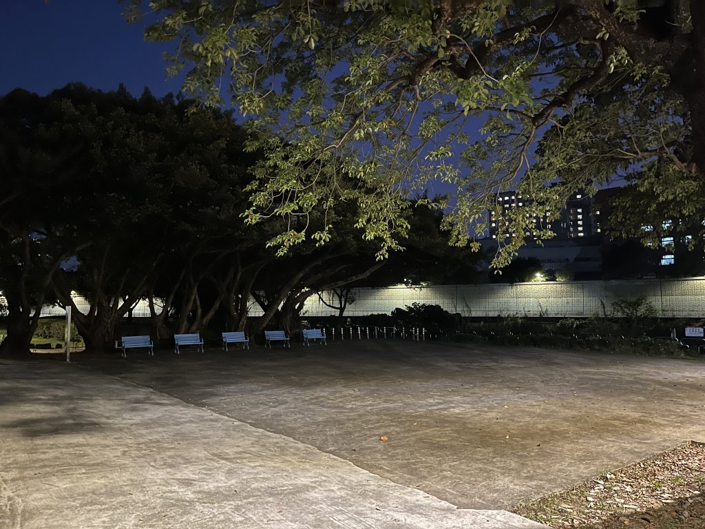 2023_0131_景美河濱公園_2015594