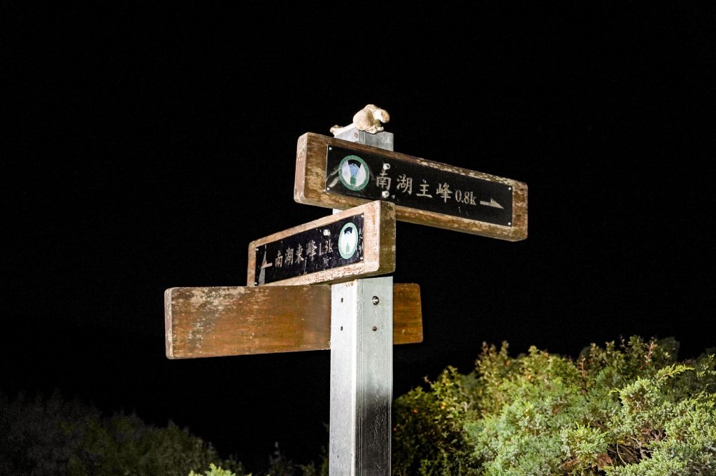 帝王之座-南湖主峰線｜南湖大山＋南湖南峰＋巴巴山_2884937